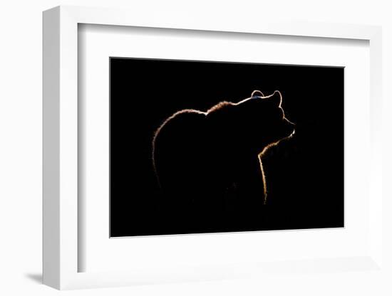 Highlight-Gorazd Golob-Framed Photographic Print