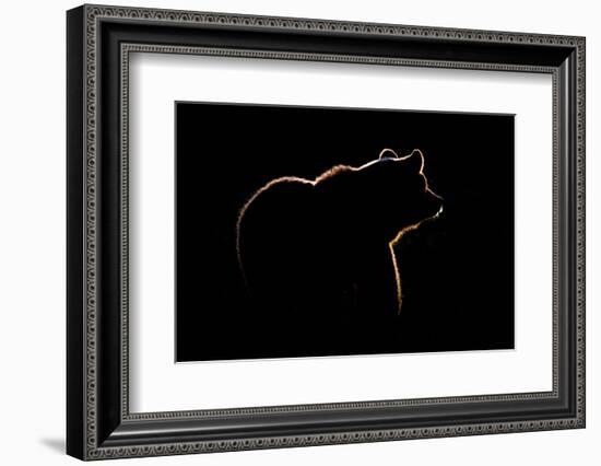 Highlight-Gorazd Golob-Framed Photographic Print