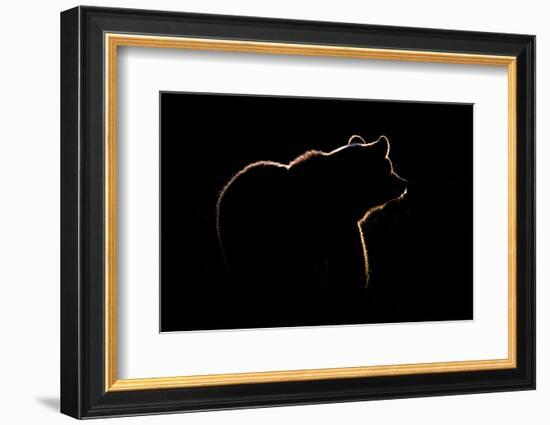 Highlight-Gorazd Golob-Framed Photographic Print