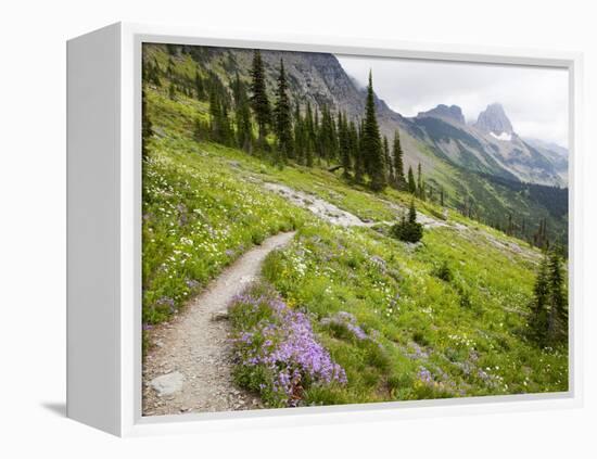 Highline Trail To Granite Park Chalet, Glacier National Park, Montana, USA-Jamie & Judy Wild-Framed Premier Image Canvas