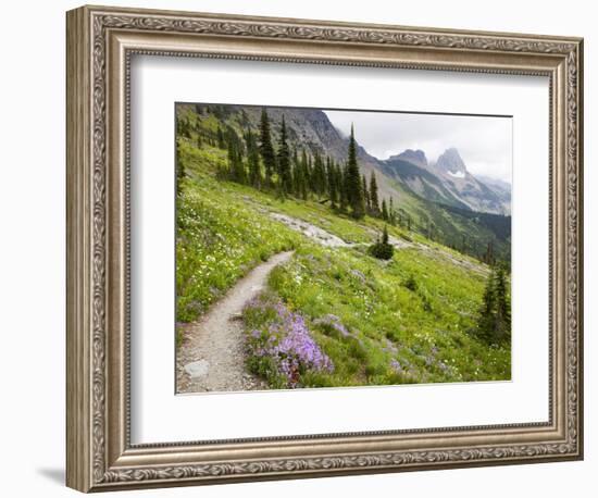 Highline Trail To Granite Park Chalet, Glacier National Park, Montana, USA-Jamie & Judy Wild-Framed Photographic Print