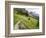 Highline Trail To Granite Park Chalet, Glacier National Park, Montana, USA-Jamie & Judy Wild-Framed Photographic Print