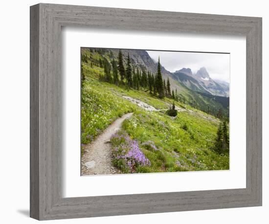 Highline Trail To Granite Park Chalet, Glacier National Park, Montana, USA-Jamie & Judy Wild-Framed Photographic Print
