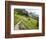 Highline Trail To Granite Park Chalet, Glacier National Park, Montana, USA-Jamie & Judy Wild-Framed Photographic Print