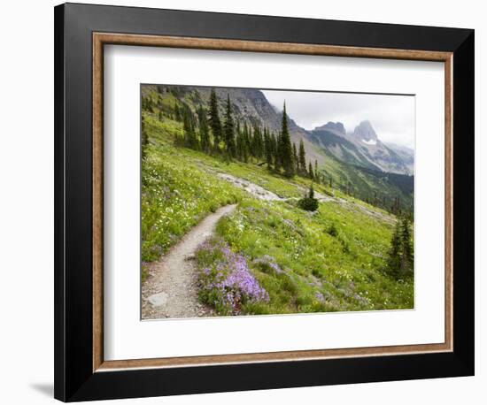 Highline Trail To Granite Park Chalet, Glacier National Park, Montana, USA-Jamie & Judy Wild-Framed Photographic Print