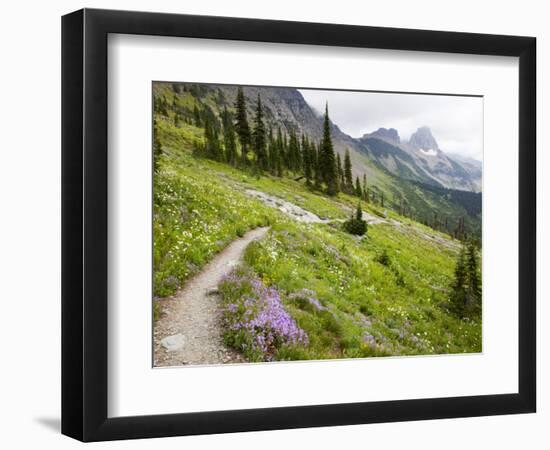 Highline Trail To Granite Park Chalet, Glacier National Park, Montana, USA-Jamie & Judy Wild-Framed Photographic Print