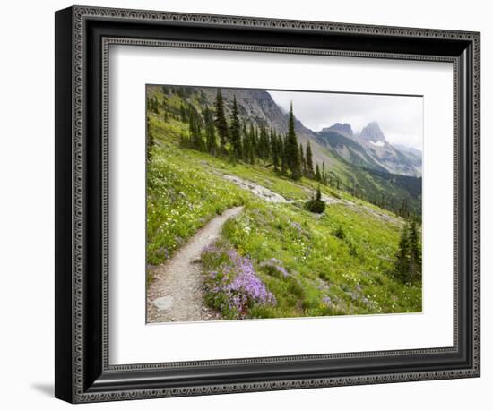 Highline Trail To Granite Park Chalet, Glacier National Park, Montana, USA-Jamie & Judy Wild-Framed Photographic Print