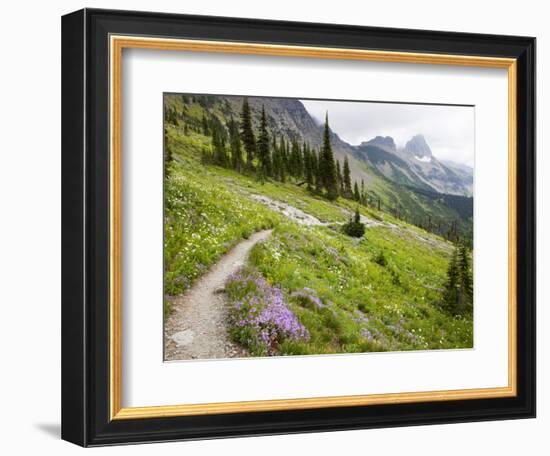 Highline Trail To Granite Park Chalet, Glacier National Park, Montana, USA-Jamie & Judy Wild-Framed Photographic Print