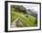 Highline Trail To Granite Park Chalet, Glacier National Park, Montana, USA-Jamie & Judy Wild-Framed Photographic Print