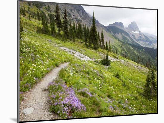 Highline Trail To Granite Park Chalet, Glacier National Park, Montana, USA-Jamie & Judy Wild-Mounted Photographic Print
