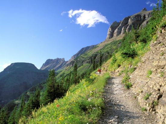 Highline Trail Traverses Under the Garden Wall, Glacier National Park