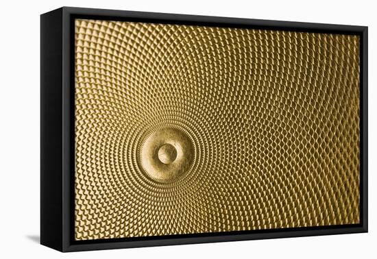 Highly Detailed Background Carved In Gold-Steve Collender-Framed Premier Image Canvas