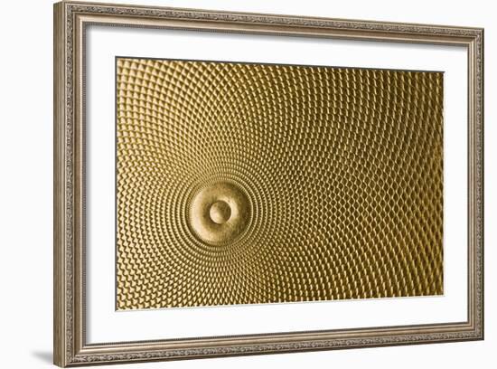 Highly Detailed Background Carved In Gold-Steve Collender-Framed Photographic Print