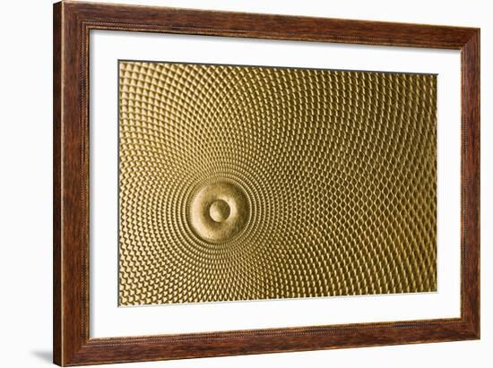 Highly Detailed Background Carved In Gold-Steve Collender-Framed Photographic Print