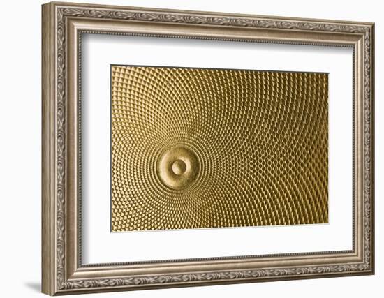 Highly Detailed Background Carved In Gold-Steve Collender-Framed Photographic Print