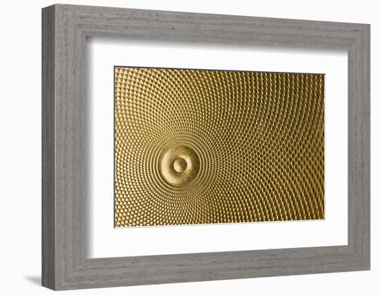 Highly Detailed Background Carved In Gold-Steve Collender-Framed Photographic Print