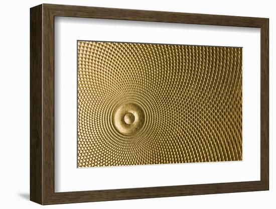 Highly Detailed Background Carved In Gold-Steve Collender-Framed Photographic Print