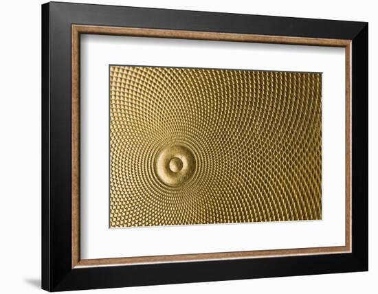 Highly Detailed Background Carved In Gold-Steve Collender-Framed Photographic Print