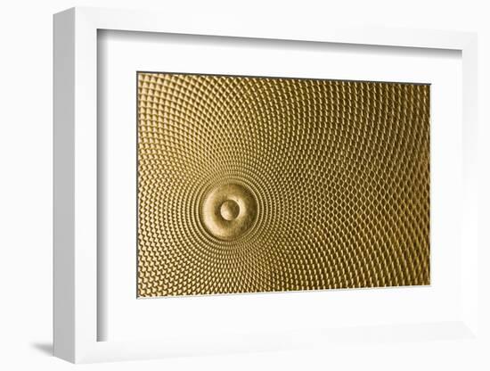 Highly Detailed Background Carved In Gold-Steve Collender-Framed Photographic Print