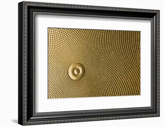 Highly Detailed Background Carved In Gold-Steve Collender-Framed Photographic Print