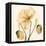 Highpoint Poppies I-Emma Scarvey-Framed Stretched Canvas