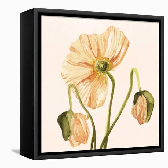 Highpoint Poppies I-Emma Scarvey-Framed Stretched Canvas