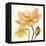 Highpoint Poppies II-Emma Scarvey-Framed Stretched Canvas