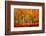 Highs and Lows-Philippe Sainte-Laudy-Framed Photographic Print