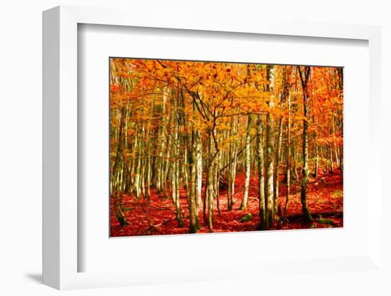 Highs and Lows-Philippe Sainte-Laudy-Framed Photographic Print