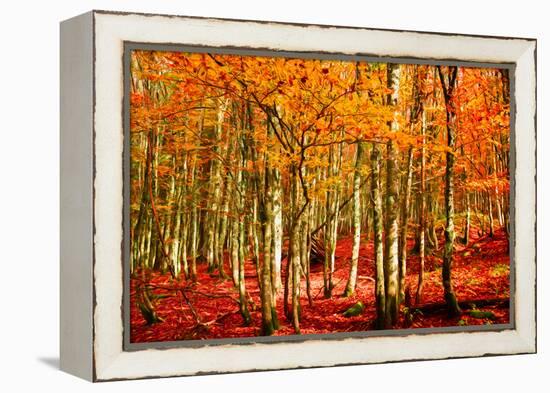 Highs and Lows-Philippe Sainte-Laudy-Framed Premier Image Canvas