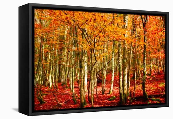 Highs and Lows-Philippe Sainte-Laudy-Framed Premier Image Canvas