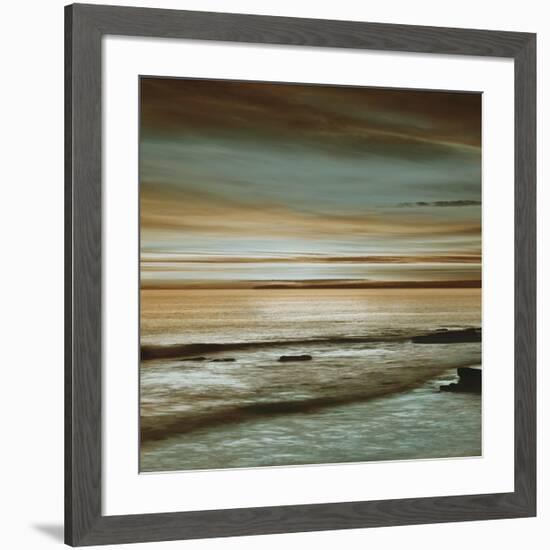 Hightide-John Seba-Framed Giclee Print