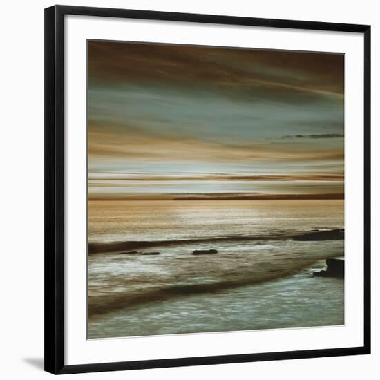 Hightide-John Seba-Framed Giclee Print