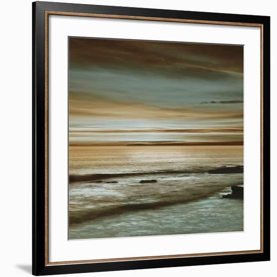 Hightide-John Seba-Framed Giclee Print