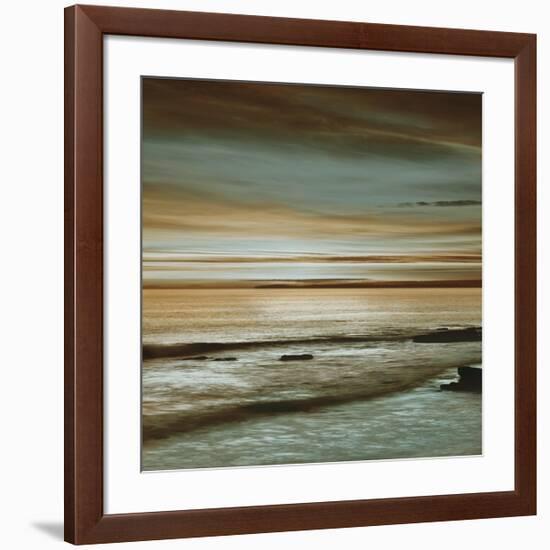 Hightide-John Seba-Framed Giclee Print