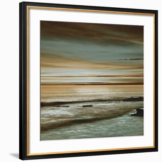 Hightide-John Seba-Framed Giclee Print