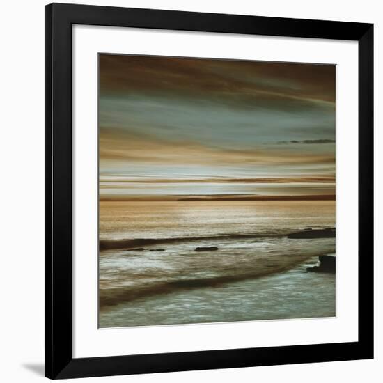 Hightide-John Seba-Framed Giclee Print