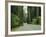 Highway 101 Through Redwoods-James Randklev-Framed Photographic Print