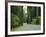 Highway 101 Through Redwoods-James Randklev-Framed Photographic Print