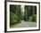 Highway 101 Through Redwoods-James Randklev-Framed Photographic Print