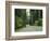 Highway 101 Through Redwoods-James Randklev-Framed Photographic Print