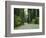 Highway 101 Through Redwoods-James Randklev-Framed Photographic Print