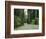 Highway 101 Through Redwoods-James Randklev-Framed Photographic Print