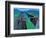 Highway 278-Zhang Yong Xu-Framed Giclee Print