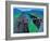 Highway 278-Zhang Yong Xu-Framed Giclee Print