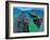 Highway 278-Zhang Yong Xu-Framed Giclee Print