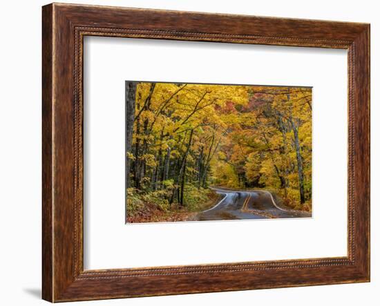 Highway 41 covered roadway in autumn near Copper Harbor in the Upper Peninsula of Michigan, USA-Chuck Haney-Framed Photographic Print