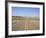 Highway 41, New Mexico, United States of America, North America-Wendy Connett-Framed Photographic Print