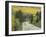 Highway 82 Through Autumn Aspen Trees, San Isabel National Forest, Colorado, USA-Adam Jones-Framed Photographic Print