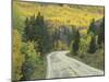 Highway 82 Through Autumn Aspen Trees, San Isabel National Forest, Colorado, USA-Adam Jones-Mounted Photographic Print